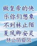 做皇帝的快乐你们想象不到林止陌夏凤卿安灵熏小说全文阅读