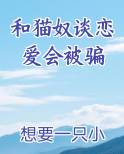 和猫奴谈恋爱会被骗