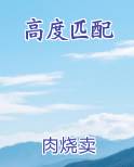 高度匹配