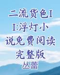 二流货色II:浮灯小说免费阅读完整版