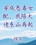 穿成恶毒女配，我陪大佬东山再起