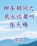 柳条胡同之我永远都叫张天赐