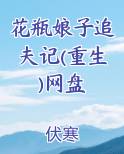 花瓶娘子追夫记(重生)网盘