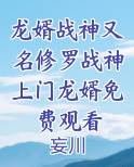 龙婿战神又名修罗战神上门龙婿免费观看