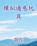模拟通感玩具免费观看