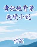 贵妃她背景超硬小说