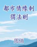 都市情缘刺猬法则