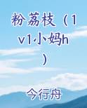 粉荔枝（1v1小妈h）