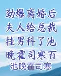 劲爆离婚后夫人给总裁挂男科了池晚霍司寒百度云