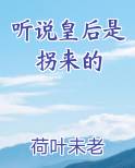 听说皇后是拐来的