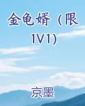 金龟婿(限)H小说读书吧阅读