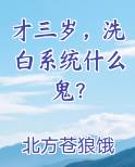 才三岁,洗白系统什么鬼?免费