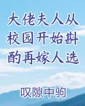 大佬夫人从校园开始斟酌再嫁人选