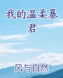 我的温柔暴君