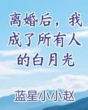 离婚后，我成了所有人的白月光
