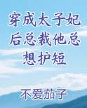 穿成太子妃后总裁他总想护短