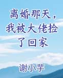 离婚那天，我被大佬捡了回家