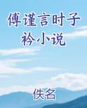 傅谨言时子衿小说