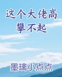 这个大佬高攀不起