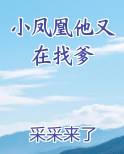 小凤凰他又在找爹