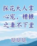 探花大人掌心宠，糟糠之妻不下堂原著小说