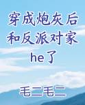 穿成炮灰后和反派对家he了