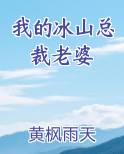 我的冰山总裁老婆