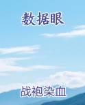 数据眼