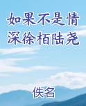 如果不是情深徐栢陆尧