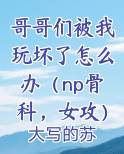 哥哥们被我玩坏了怎么办（np骨科，女攻）