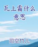 瓦上霜什么意思全文免费阅读