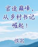 官途巅峰，从乡村书记崛起！