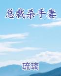 总裁杀手妻