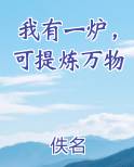我有一炉，可提炼万物