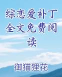 综恋爱补丁全文免费阅读