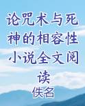 论咒术与死神的相容性小说全文阅读
