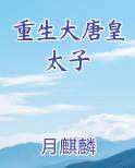 重生大唐皇太子