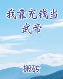 我靠充钱当武帝