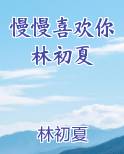 慢慢喜欢你林初夏