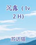 沉露（1v2 H）