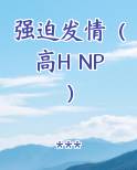 强迫发情（高H NP）