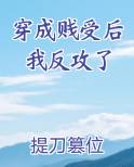 穿成贱受后我反攻了