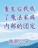 重生后我成了魔法家族内部的团宠