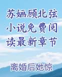 苏婳顾北弦小说免费阅读最新章节