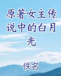 原著女主传说中的白月光