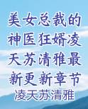 美女总裁的神医狂婿凌天苏清雅最新更新章节免费阅读