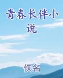 青春长伴小说