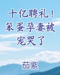 十亿聘礼！笨蛋孕妻被宠哭了